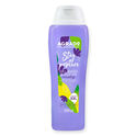 Gel de Baño y Ducha Stay Positive Gel de Baño y Ducha Stay Positive